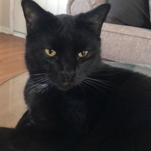 Meet your Posher, Lisa